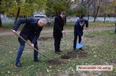 В николаевском парке «Юность» высадили 100 деревьев акаций