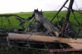 Николаевский самолет упал возле украино-молдавской границы