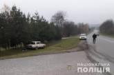 Во Львовской области в ДТП пострадали четверо детей