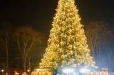 В Виннице из-за коронавируса не будут устанавливать Новогоднюю елку