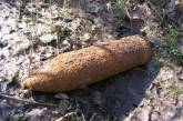 Житель Николаевской области нашел у себя во дворе артиллерийский снаряд