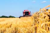 Президент Владимир Зеленский одобрил создание Аграрного реестра в Украине