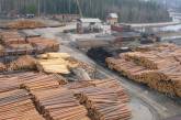 Арбитражный суд признал, что Украина может и имеет право ограничивать экспорт леса