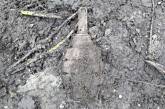 В Николаевской области мужчина нашел гранату   