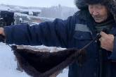 В Якутии из-за сильных морозов фермеры шьют меховые бюстгальтеры для коров