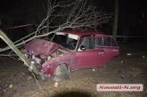В Николаеве пьяный водитель на угнанном автомобиле улетел с дороги в парк и врезался в дерево 