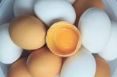 В Николаеве цены на яйца снова выросли