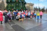 В Николаеве провели новогодний забег «Беги к цели»: участники пробежали 20 км и 21 м