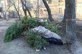 В Одессе ненужные елки меняют на сладости
