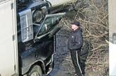 В Одессе дерево выбило дверь в грузовике и перекрыло полдороги