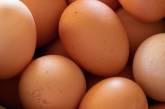 Эксперты прогнозируют подорожание яиц после новогодних праздников