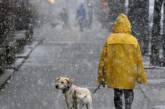 Дождь и мокрый снег: в праздничные дни в Николаевской области ожидается ухудшение погоды