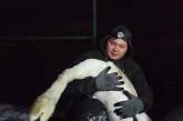 В Вознесенске неравнодушные жители спасли вмерзшего в лед лебедя