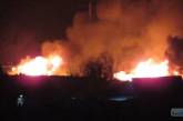 Под Одессой горела база отдыха: пожарные увязли в грязи и добирались пешком