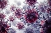 Ученые рассказали, почему новый штамм коронавируса так заразен