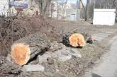 В Николаевской области срубили более 70 живых деревьев