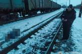 В Николаевской области поезд насмерть сбил пешехода