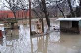 Спасатели предупредили о подъеме уровня воды и подтоплениях на Закарпатье