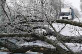 Упавшее дерево перегородило трассу в Николаевской области