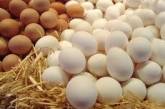 В Украине вновь подорожали яйца: когда ждать снижения цены