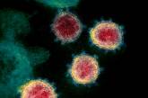 Ученые заявили, что новый штамм коронавируса более смертоносный