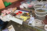 В Николаеве у наркодельца нашли целый арсенал оружия, 4 кг каннабиса и 17 пакетов грибов
