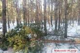 В Матвеевке рубят лес: жители пятый день защищают деревья