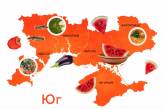 Составили «гастрономическую карту» Украины: какое блюдо представило Николаевскую область?