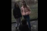 В Кривом Роге девочки-подростки поставили на колени и избили школьницу. Видео 18+