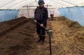 Житель Николаевской области нашел у себя в теплице минометные мины