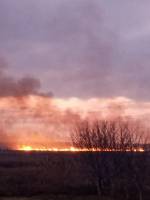 В Николаевской области начался масштабный пожар камыша