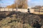 В Николаеве жгут камыш: за сутки выгорело 700 м²