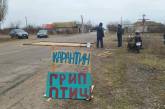 На въезде в село Николаевской области установили карантинно-полицейский пост из-за птичьего гриппа
