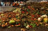 ООН: люди выбрасывают почти миллиард тонн еды в год