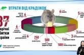 У Украины ежегодно крадут $37 млрд, - Саакашвили