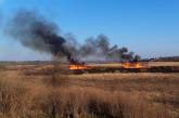В Николаевской области за сутки из-за поджогов выгорело более 1,8 га территории