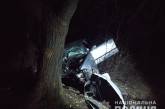 Под Одессой  BMW слетел с дороги и врезался в дерево - погиб водитель