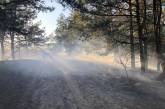 В Николаеве горит Балабановский лес