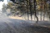 Пожар в Балабановском лесу удалось ликвидировать