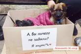 «У счастья нет породы!» - в Николаеве прошла выставка беспородных собак. ФОТО