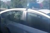 В Николаеве дебошир, разбивший головой стекло патрульного авто, заявил, что его избили полицейские. ВИДЕО