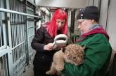 В николаевском зоопарке родились львята – малыши уже сделали первый «кусь»