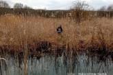 На Волыни 7-летний мальчик сбежал из дома и ночевал на болоте. ФОТО