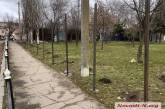 ДЖКХ отозвал ордер на снос деревьев в сквере у автовокзала в Николаеве