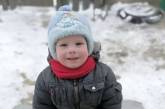 В селе под Киевом пропал 2-летний мальчик: ребенка искали всю ночь