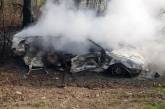 В Хмельницкой области Audi столкнулась с микроавтобусом, слетела в кювет и загорелась - погибли женщина и ребенок