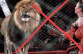 Верховная Рада Украины зарегистрировала законопроект о запрете цирка с животными