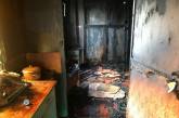 В Николаевской области в жилых домах произошли пожары