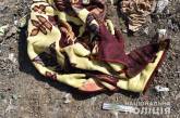 На свалке под Тернополем нашли тело ребенка