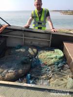 У злоумышленников изъяли 51000 креветки и более 800 особей рыбы на общую сумму свыше 65 000 гривен